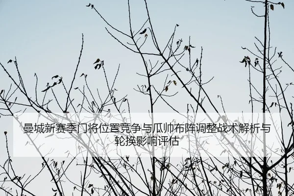 曼城新赛季门将位置竞争与瓜帅布阵调整战术解析与轮换影响评估