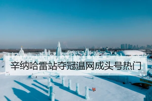 辛纳哈雷站夺冠温网成头号热门